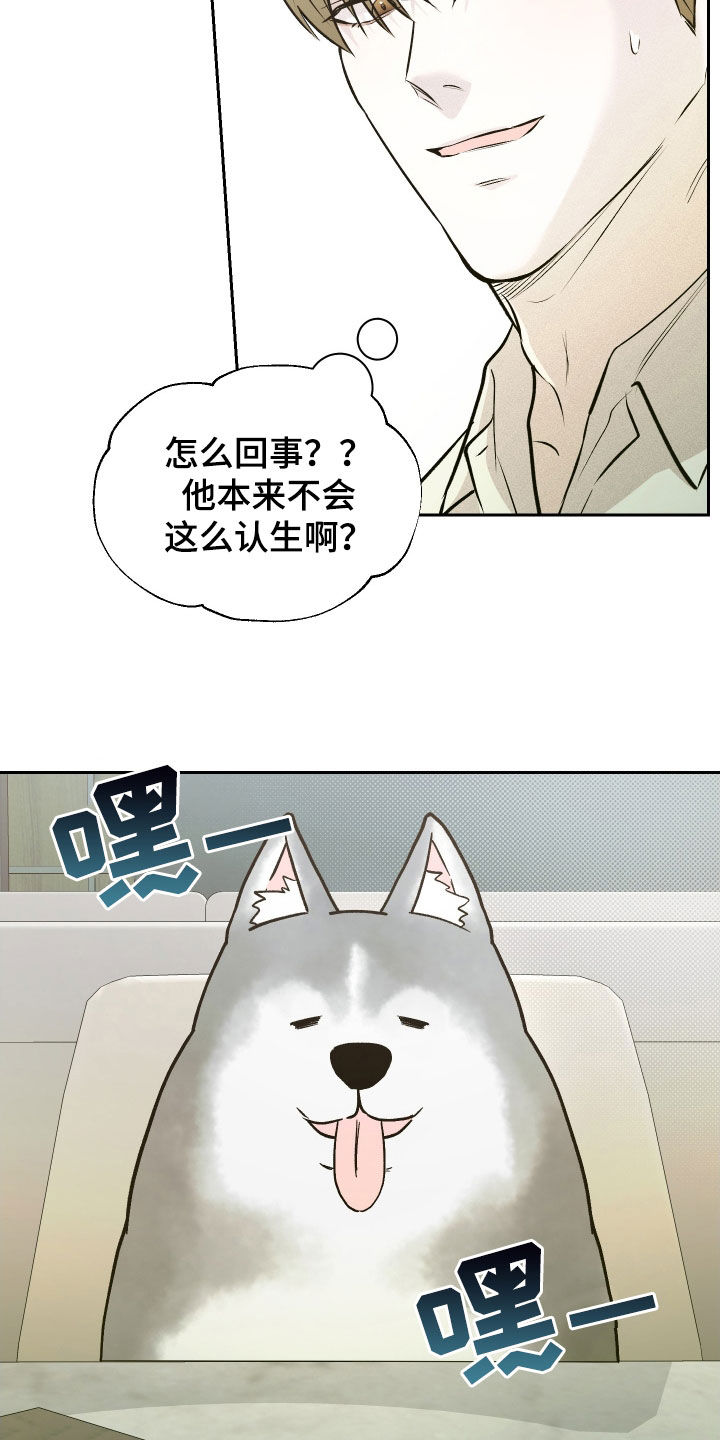 禁区内的谎言漫画,第15章：目标4图