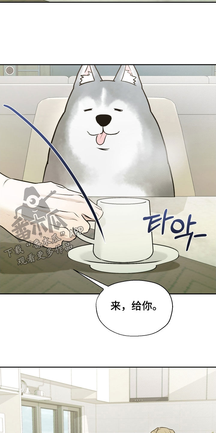 禁区内的谎言漫画,第15章：目标5图