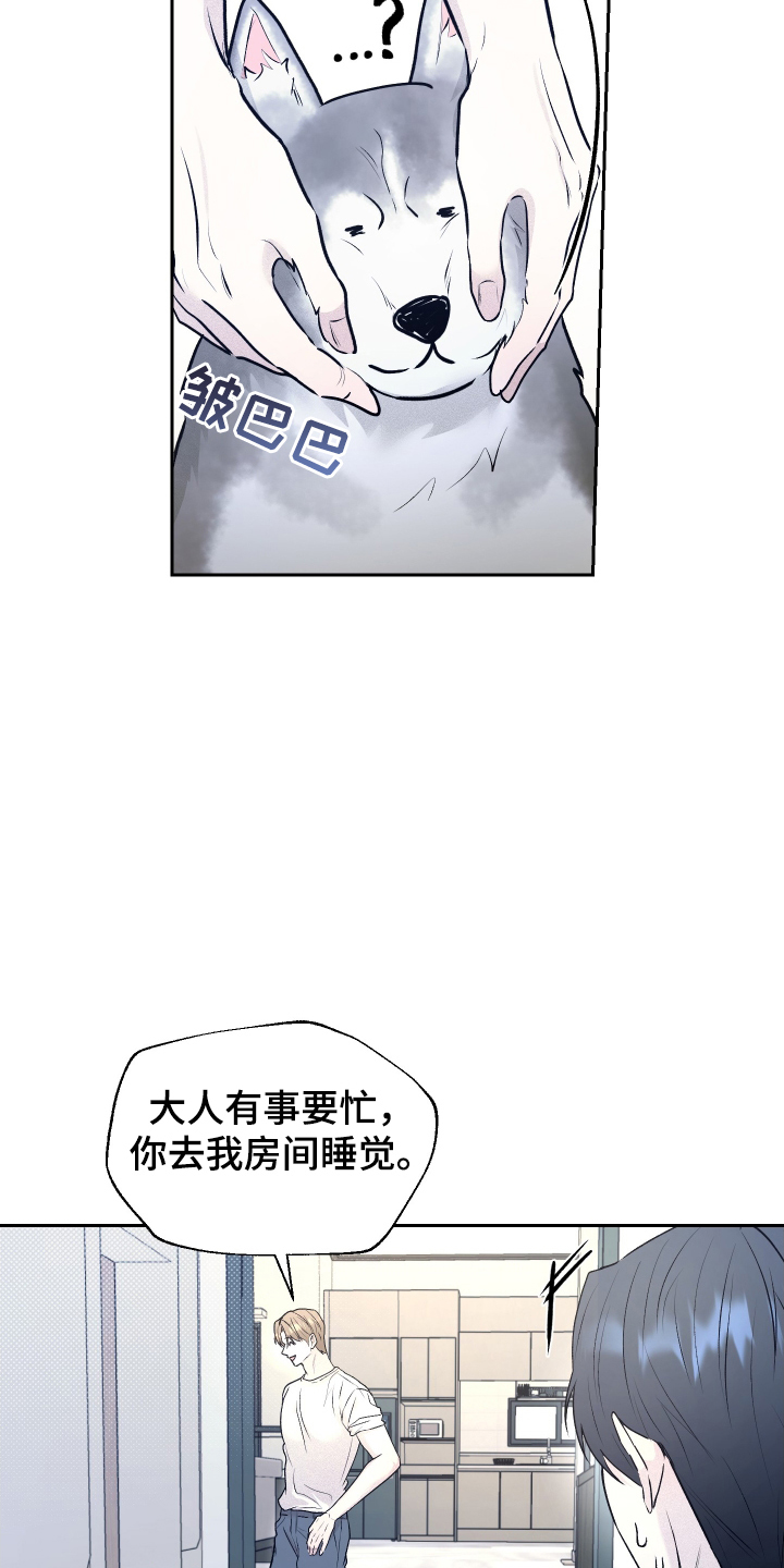 禁区内的谎言漫画,第11章：带回家3图