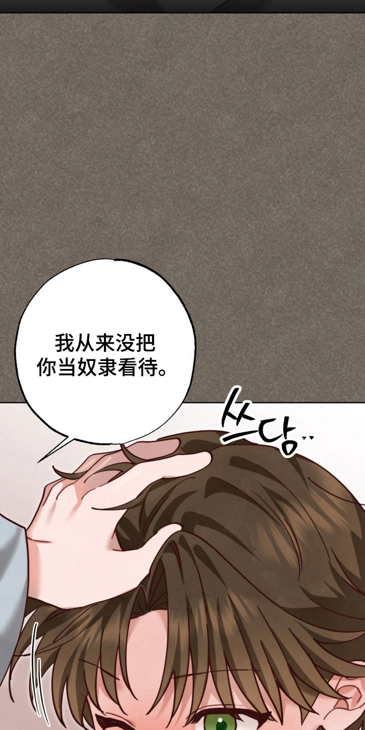 温月陆清远全文免费阅读漫画,第19章：为了少爷1图