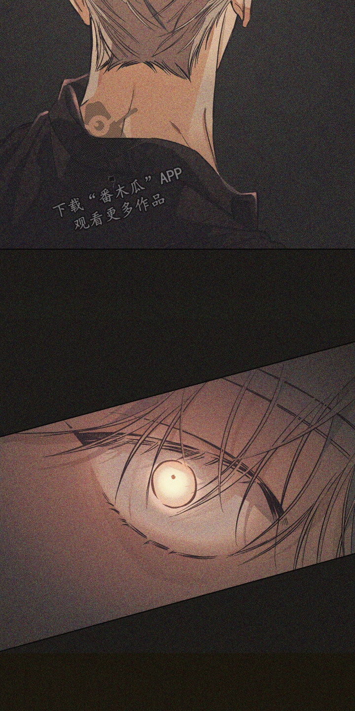 霓虹体温漫画后续在哪看漫画,第14章：再坚持一下1图