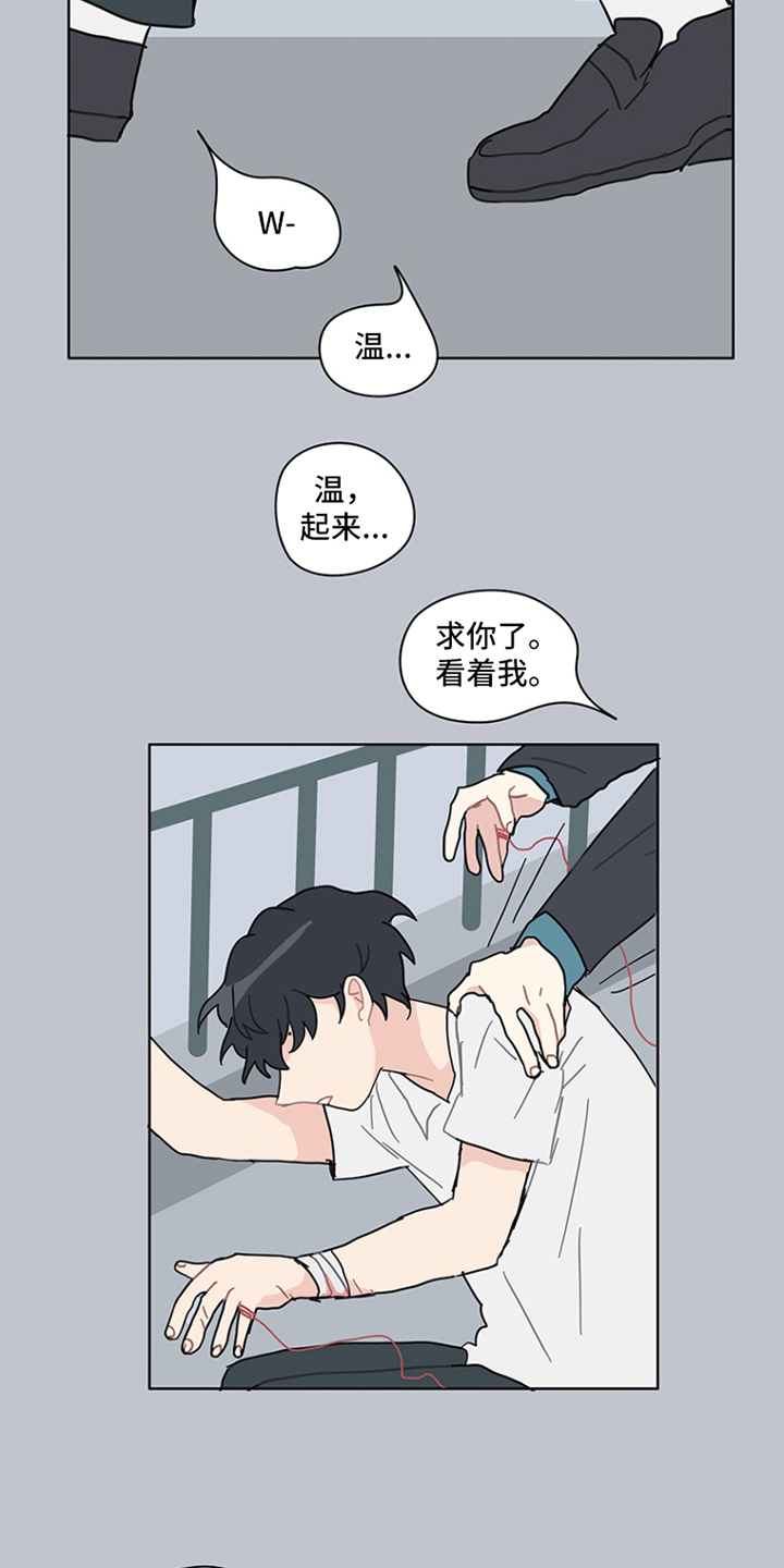 无解的阳谋经典案例漫画,第16章：这一刻5图