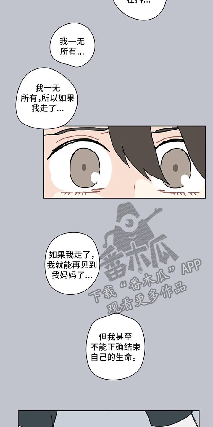 无解的阳谋经典案例漫画,第16章：这一刻4图