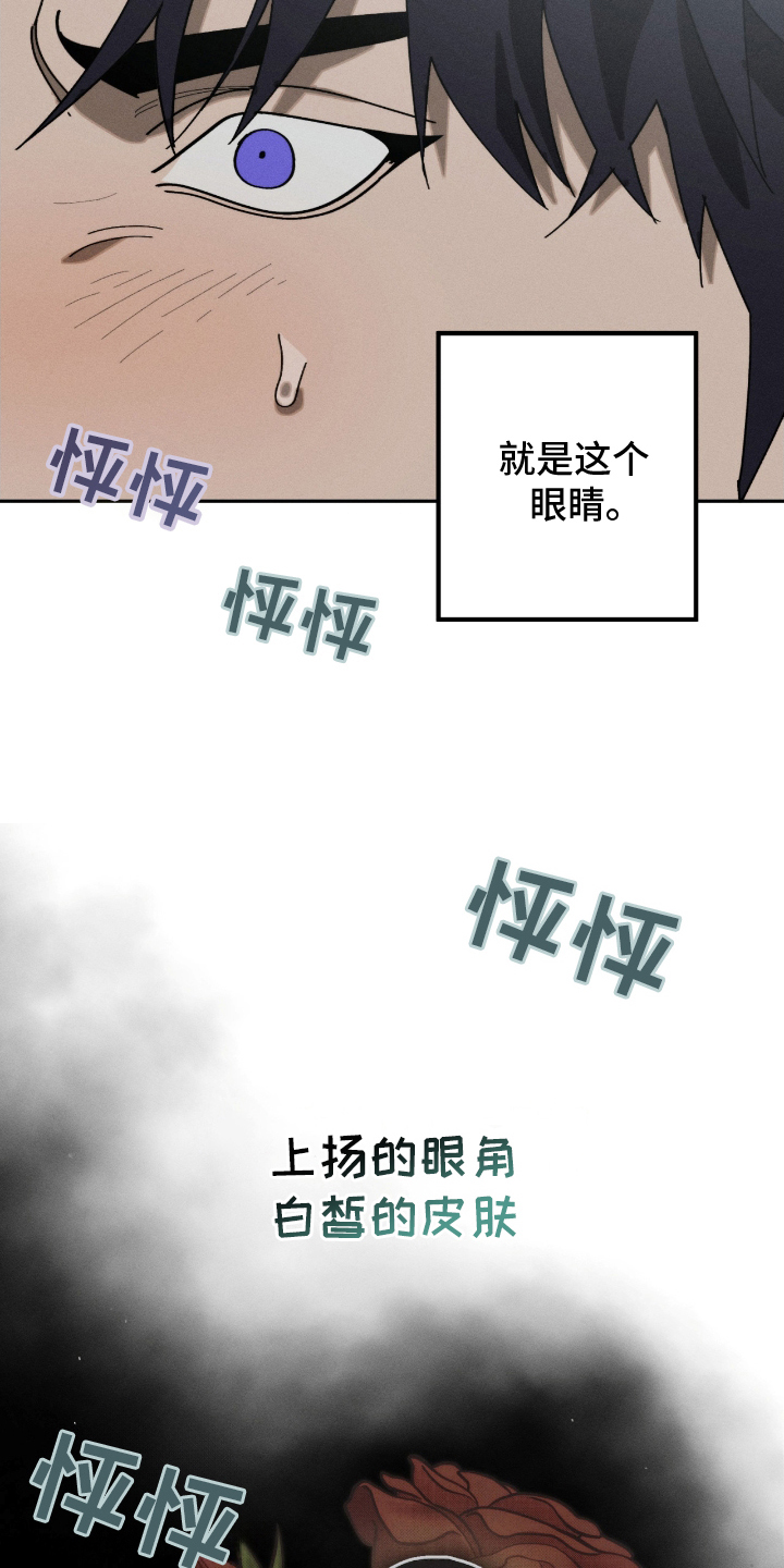 不完整的燃烧漫画在线阅读漫画,第8章：好奇4图