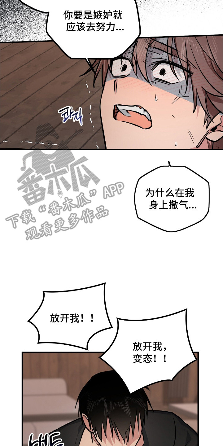 活体快递怎么申请漫画,第4章：怨恨2图