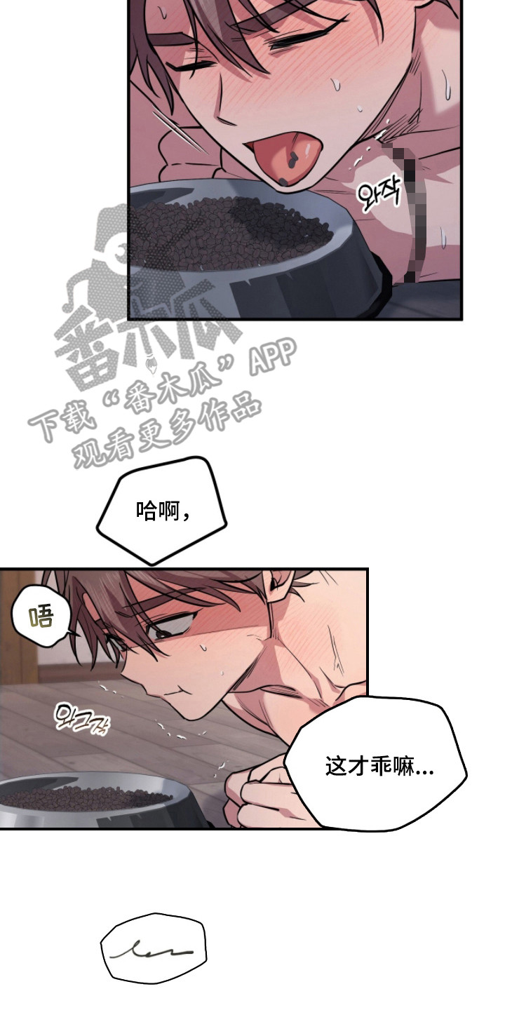活体快递漫画,第6章：狗食4图