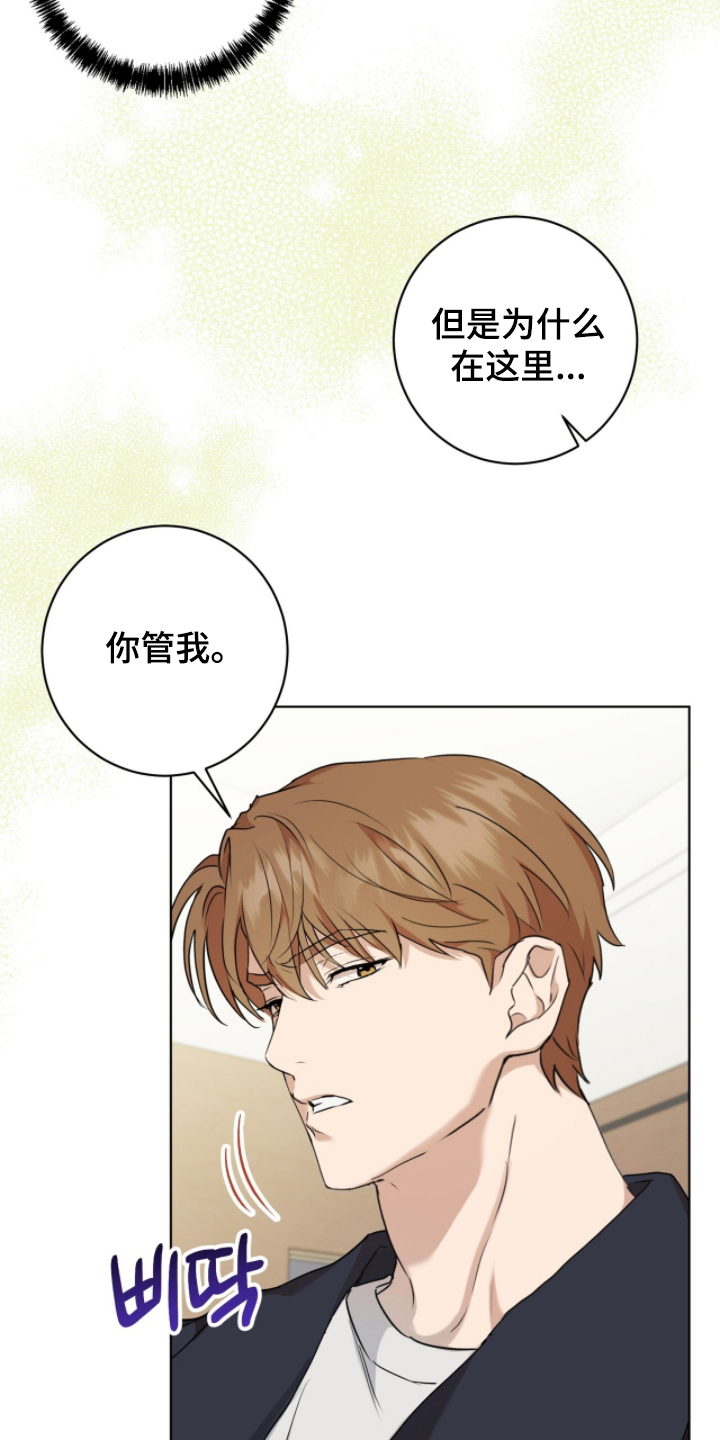 强制社保是每个月必须交吗漫画,第3章：组队5图