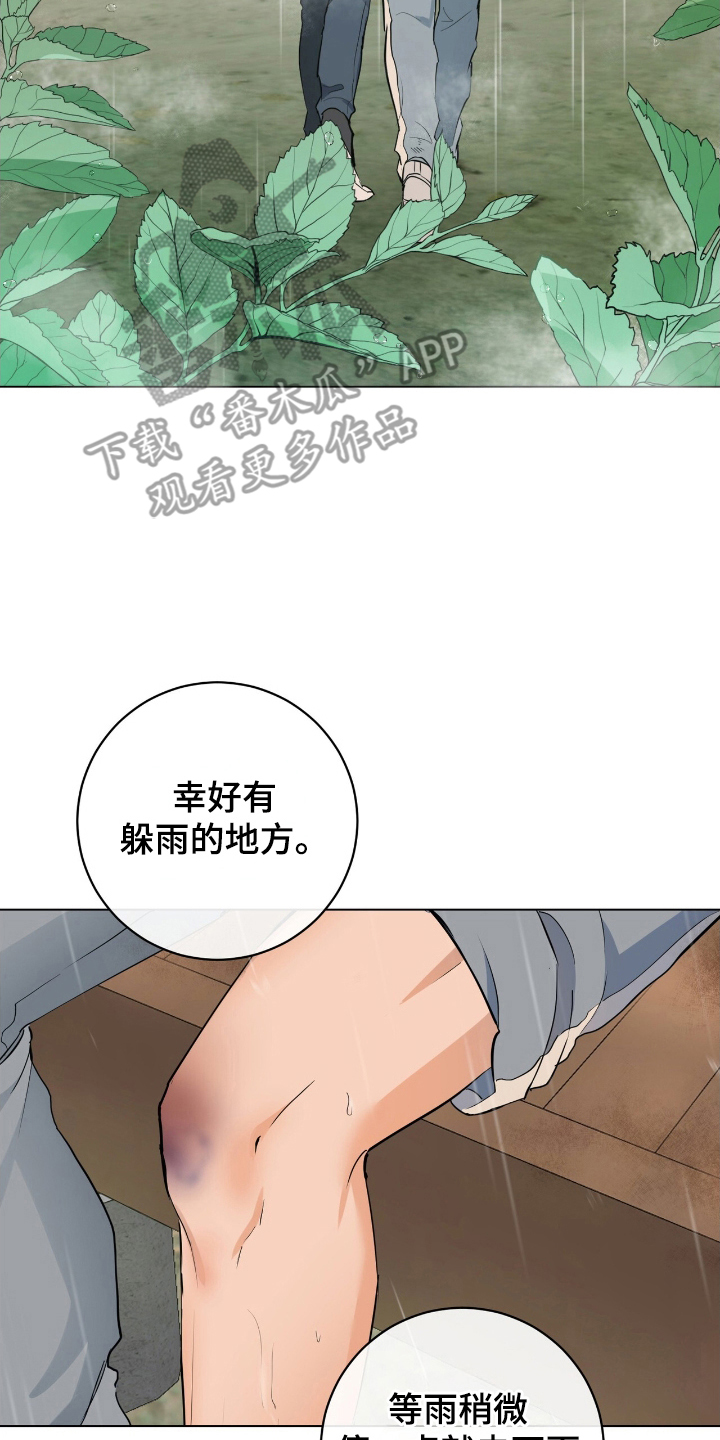 强制社交实验漫画,第15章：下雨4图