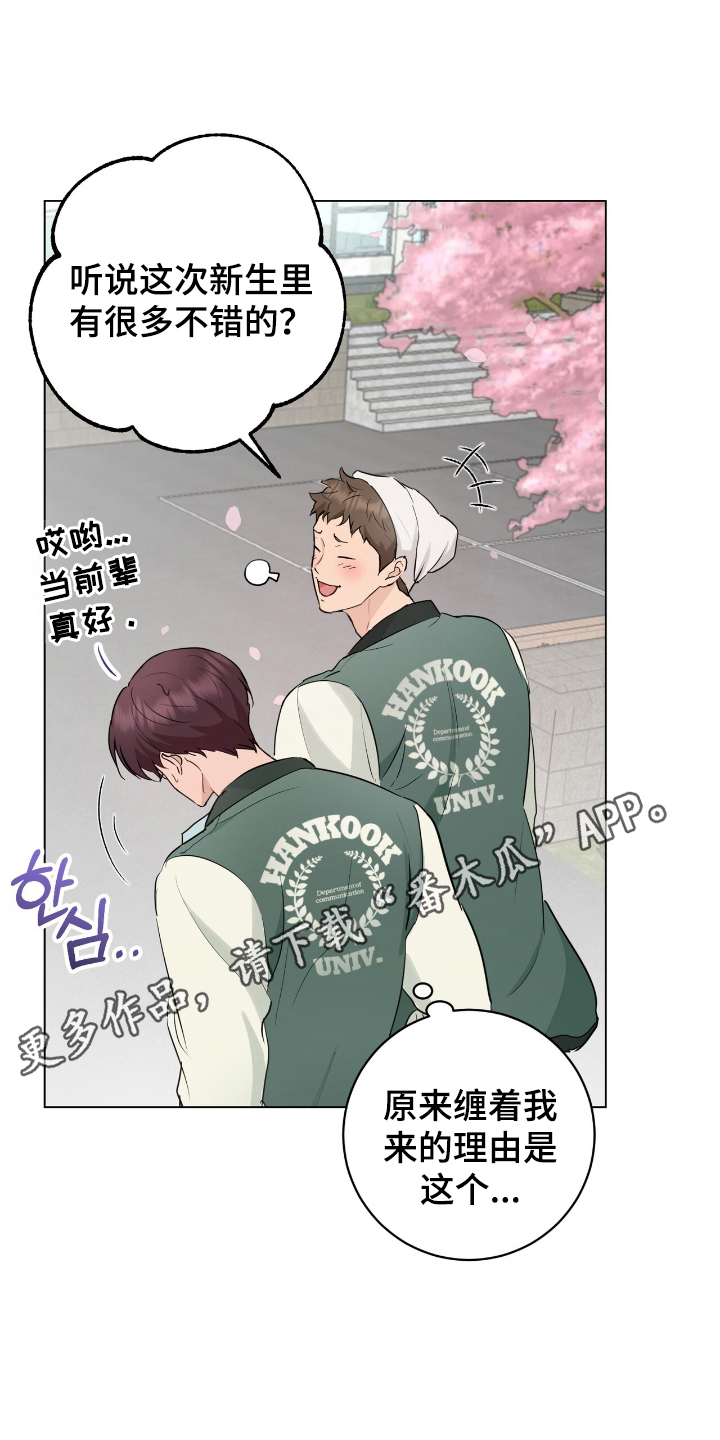 强制社保是每个月必须交吗漫画,第18章：扰人清梦2图