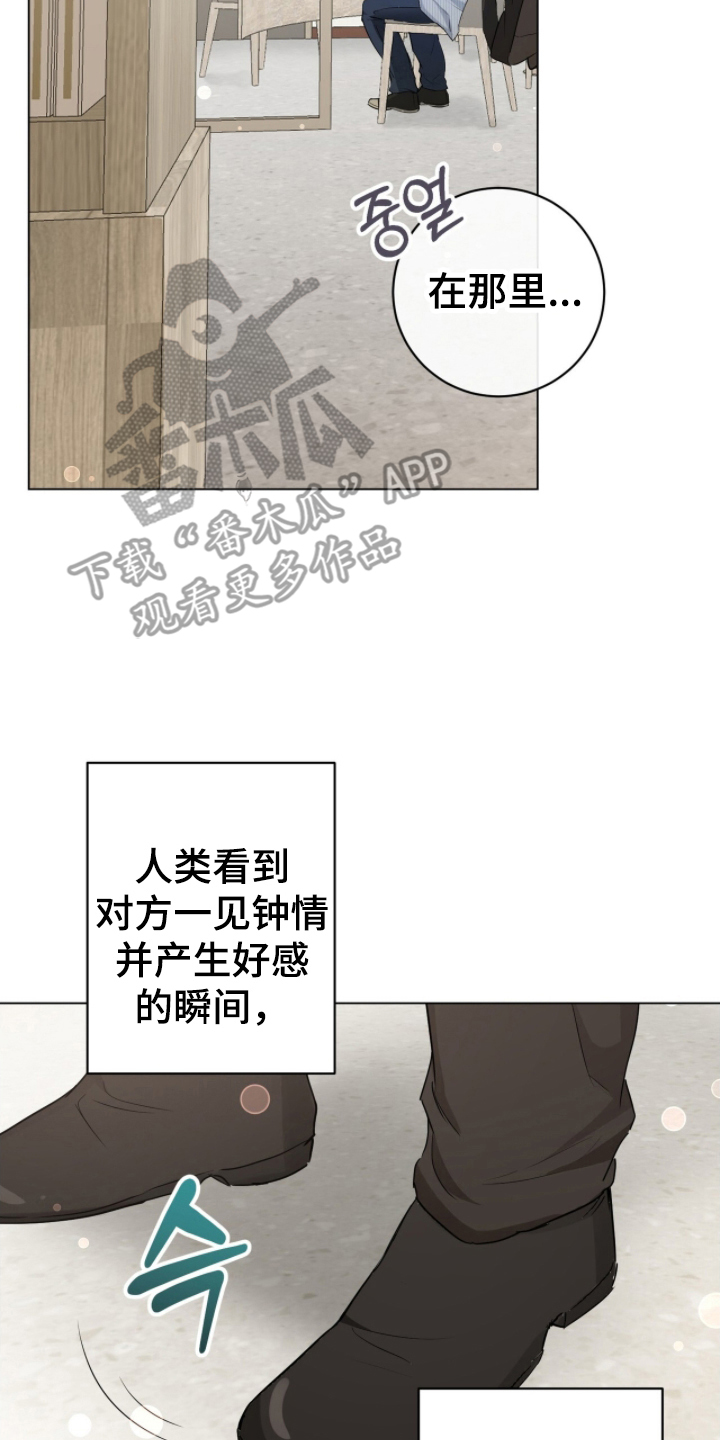 强制社保50岁女性还用交吗漫画,第17章：一见钟情3图