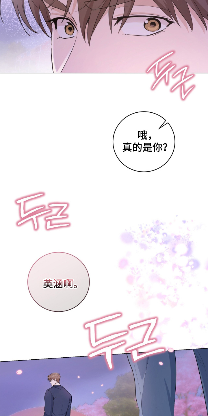 强制社保交多少年漫画,第19章：再次见面4图