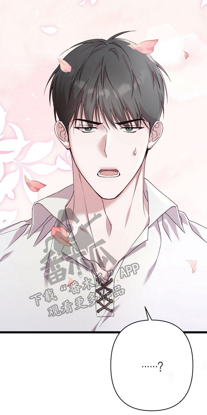 天命拍档漫画,第3章：贵族少爷4图