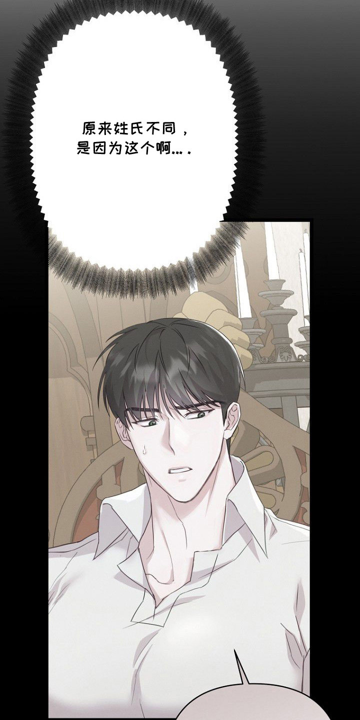 天命拍档漫画,第4章：私生子5图