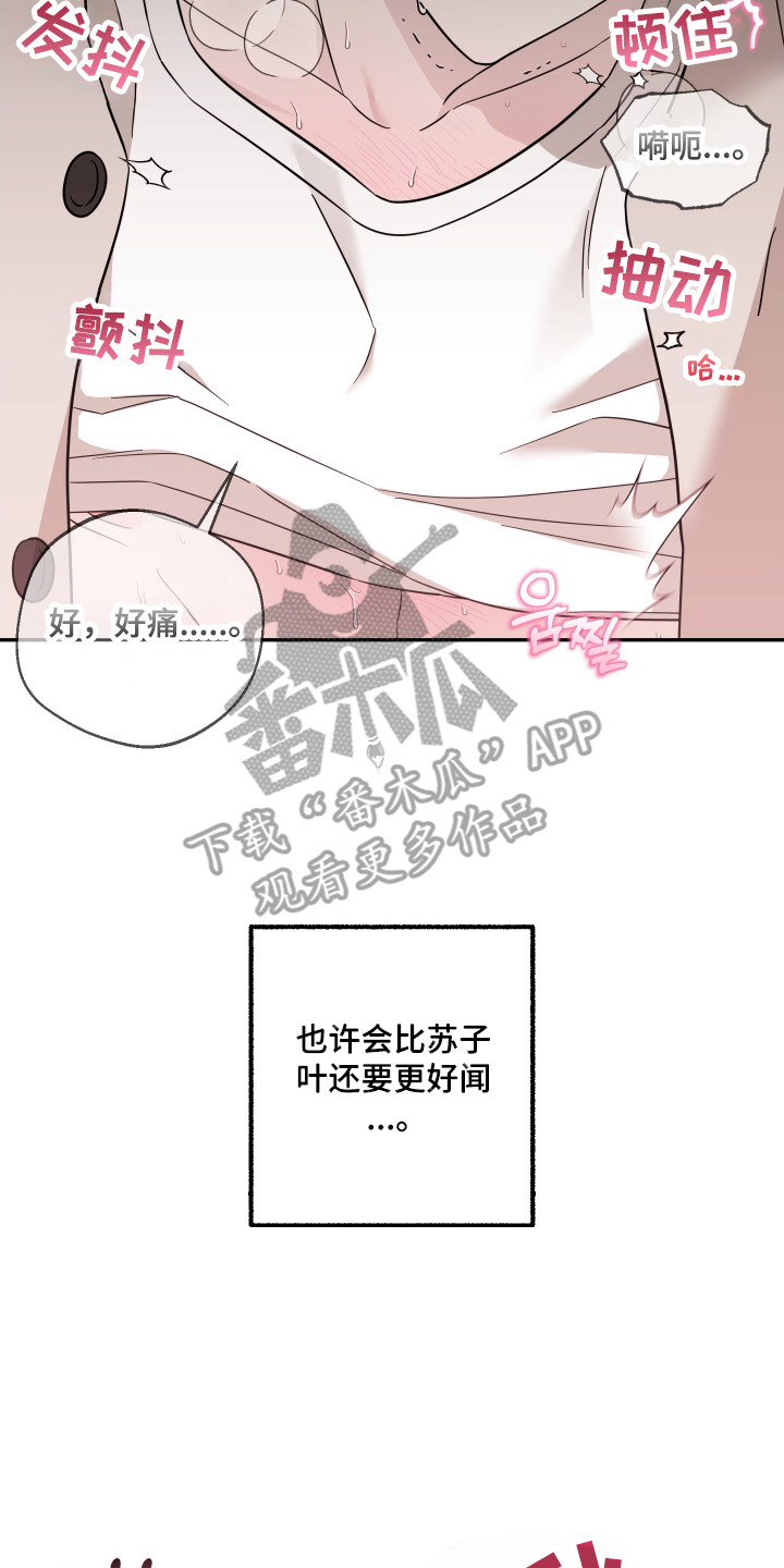 偶像有猫腻韩漫全集免费观看漫画,第7章：配合1图