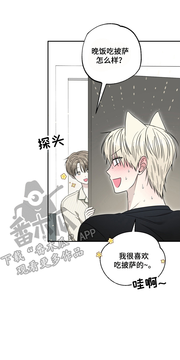 偶像有猫腻角色分析漫画,第13章：定规矩2图