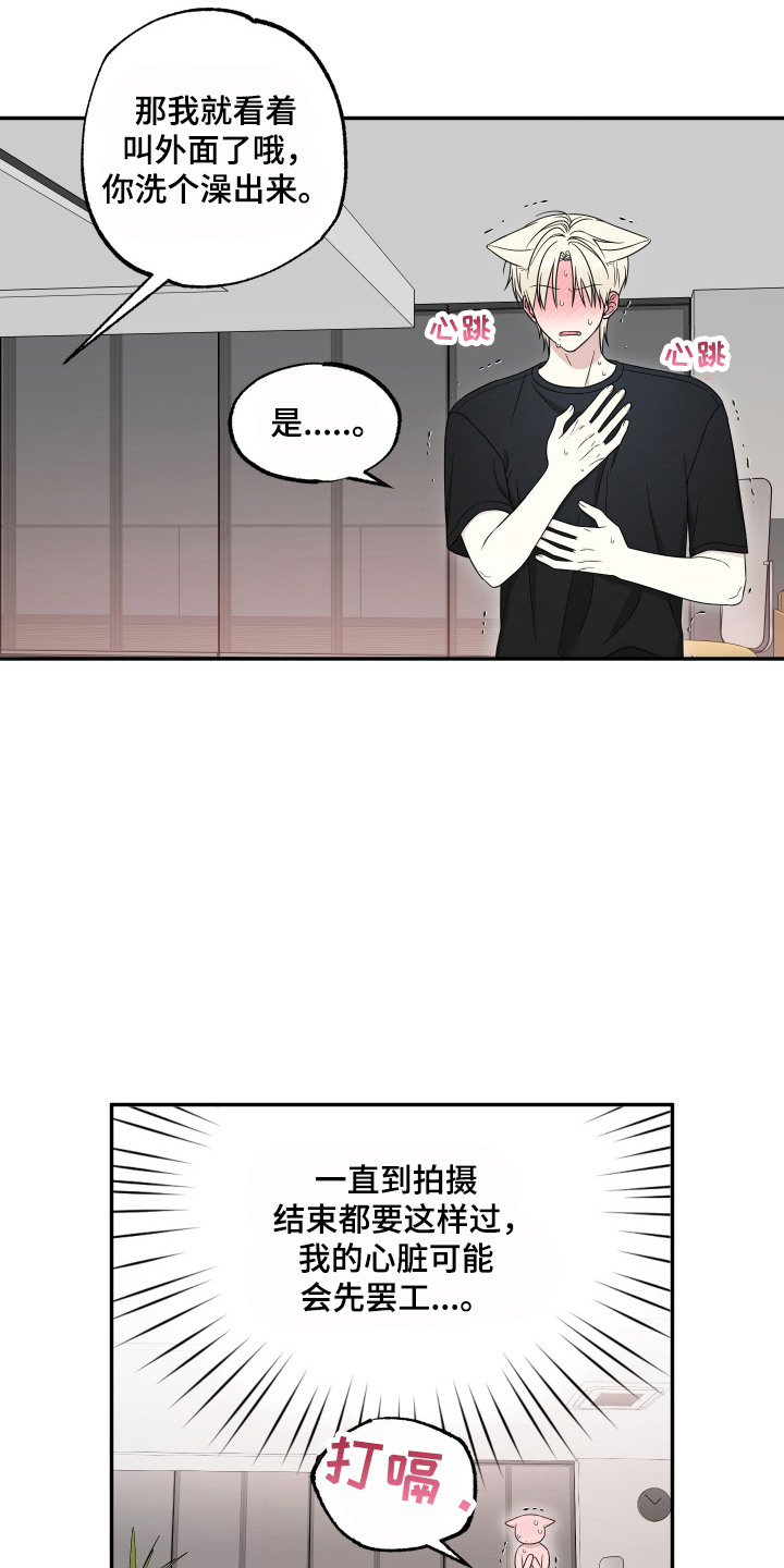 偶像有猫腻角色分析漫画,第13章：定规矩3图