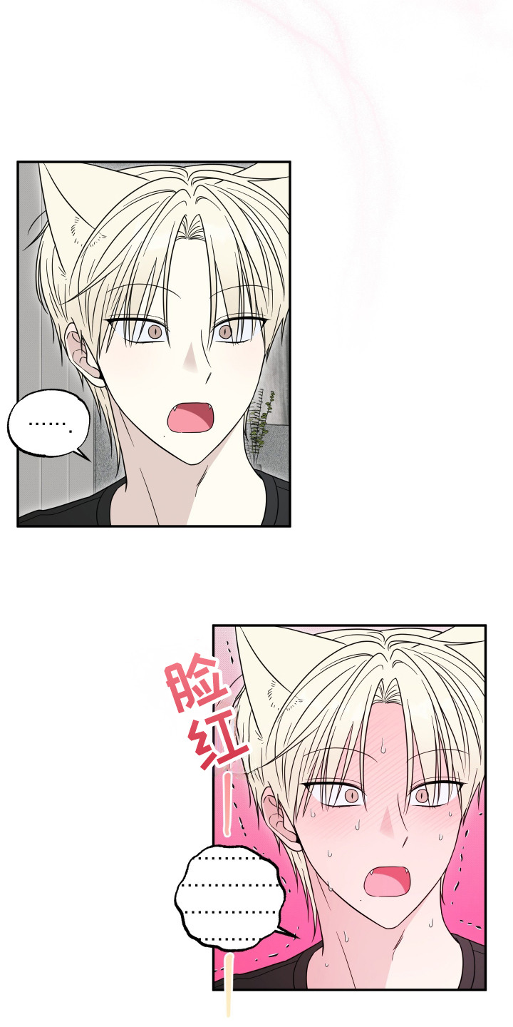偶像有猫腻漫画原作者漫画,第11章：邀请同居3图