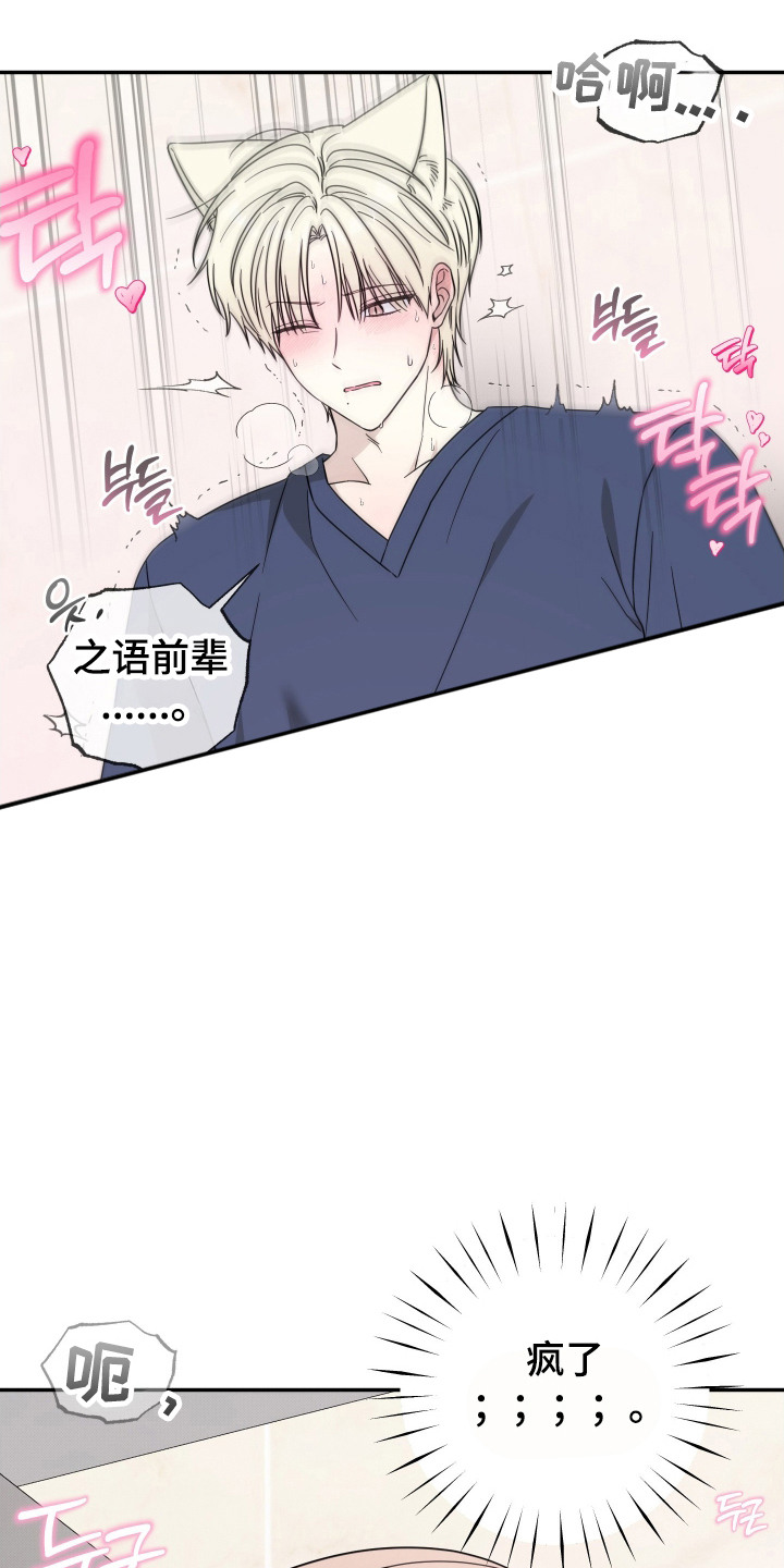 偶像有猫腻漫画,第4章：难言之隐2图