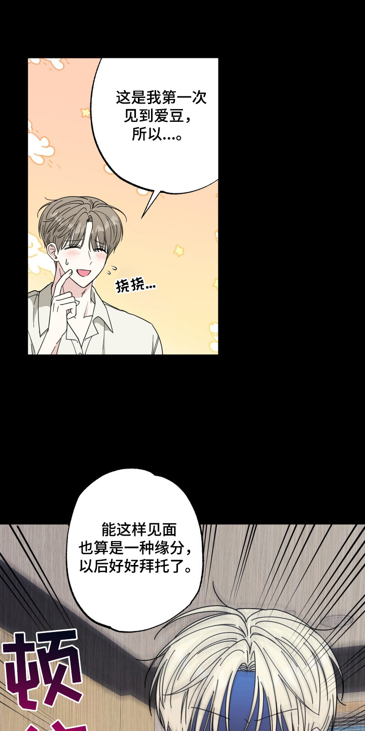 偶像有猫腻角色分析漫画,第2章：第一印象5图