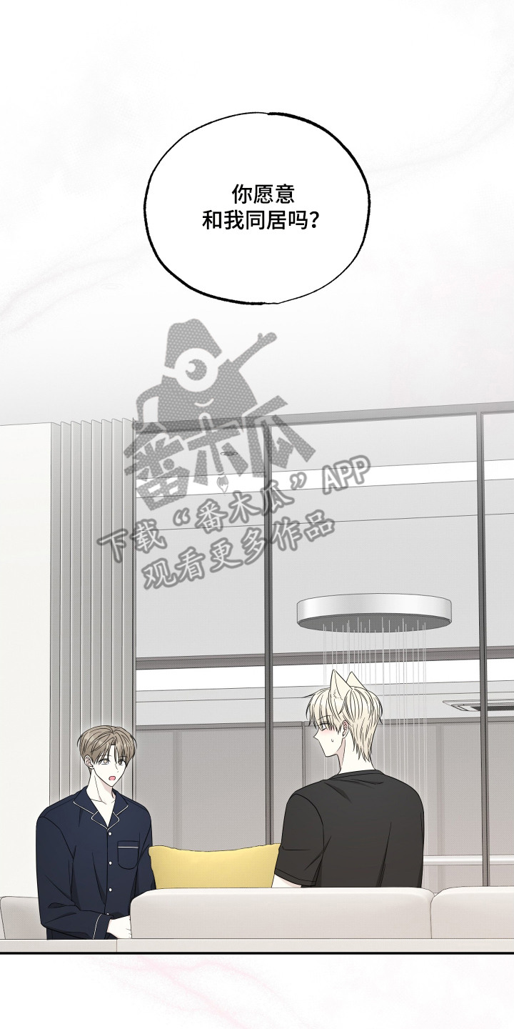 偶像有猫腻漫画原作者漫画,第11章：邀请同居2图