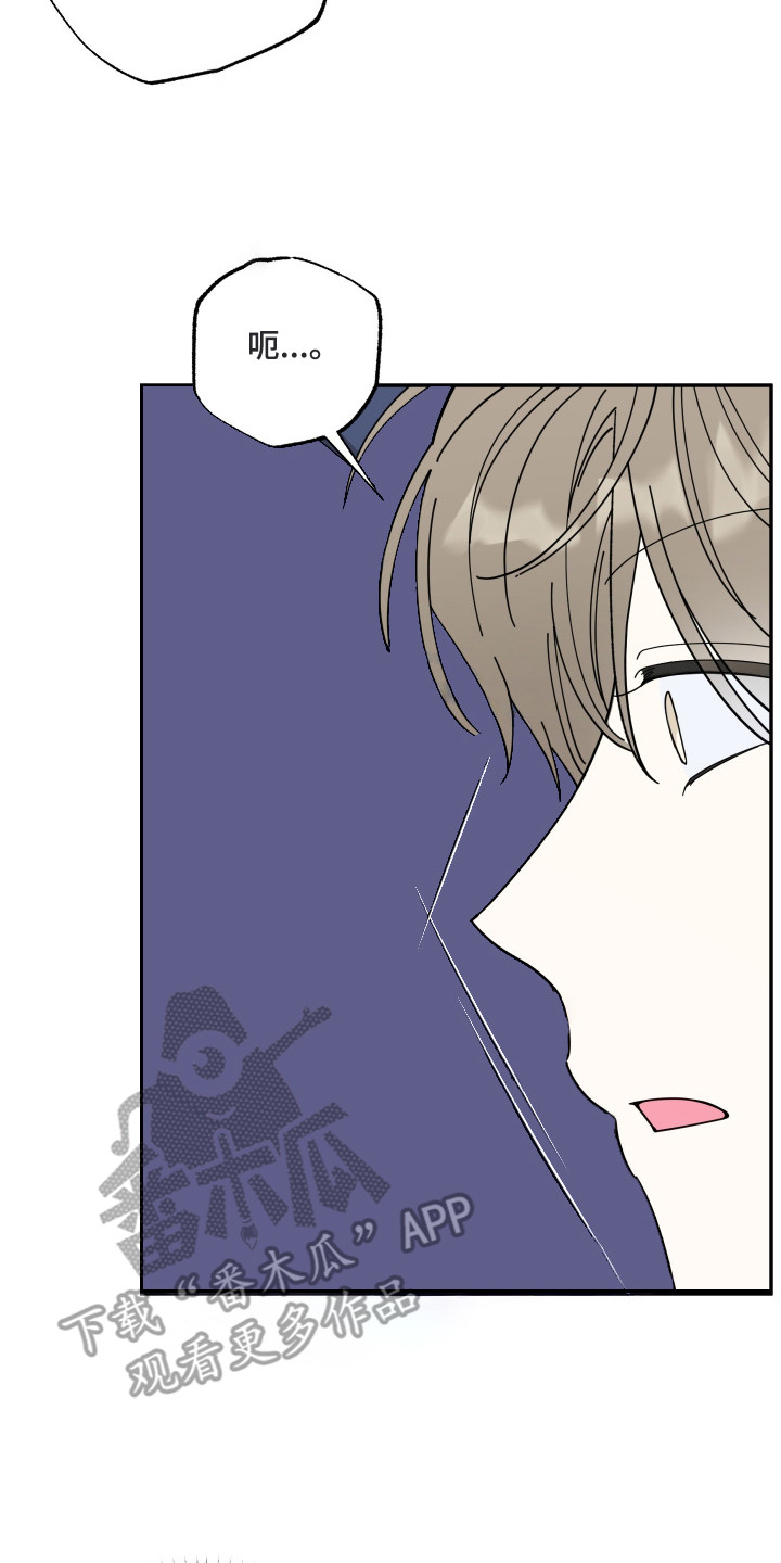 偶像有猫腻韩漫全集免费观看漫画,第3章：猫耳2图