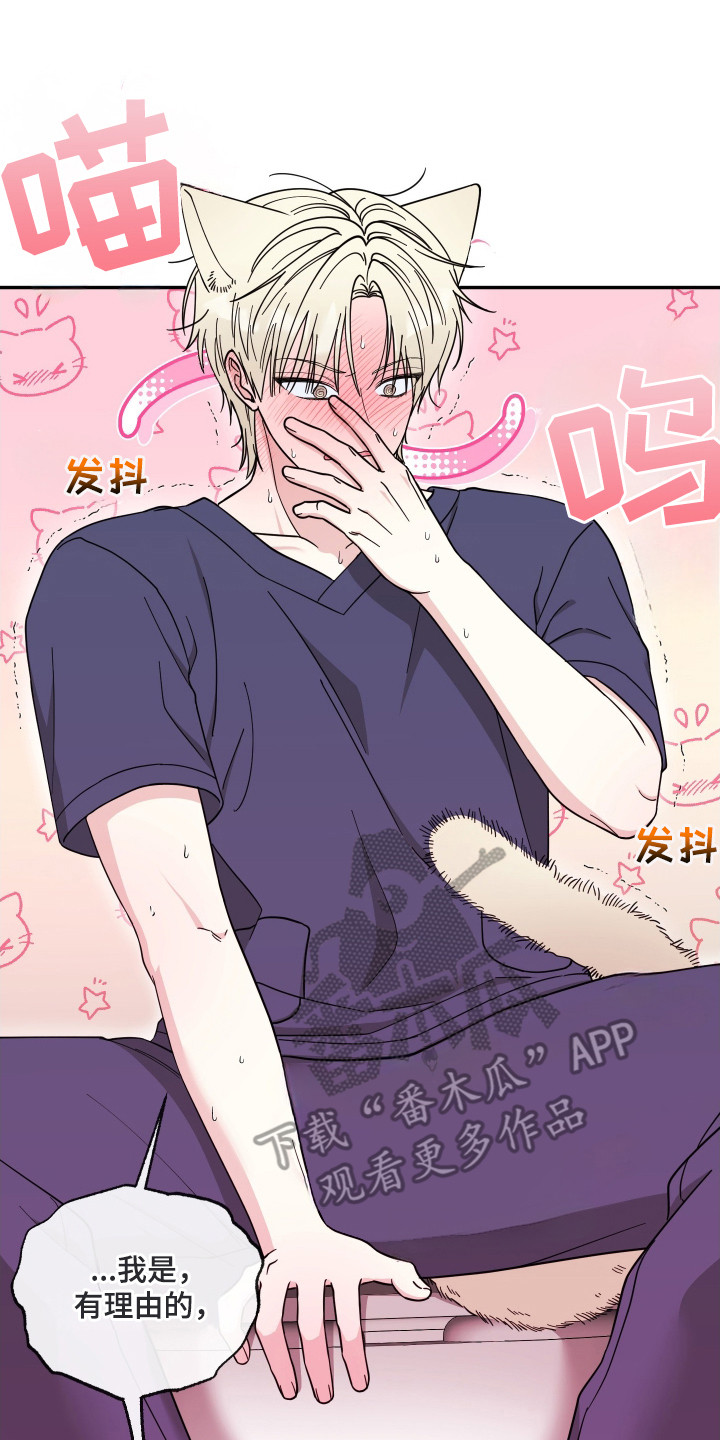偶像有猫腻韩漫全集免费观看漫画,第3章：猫耳5图