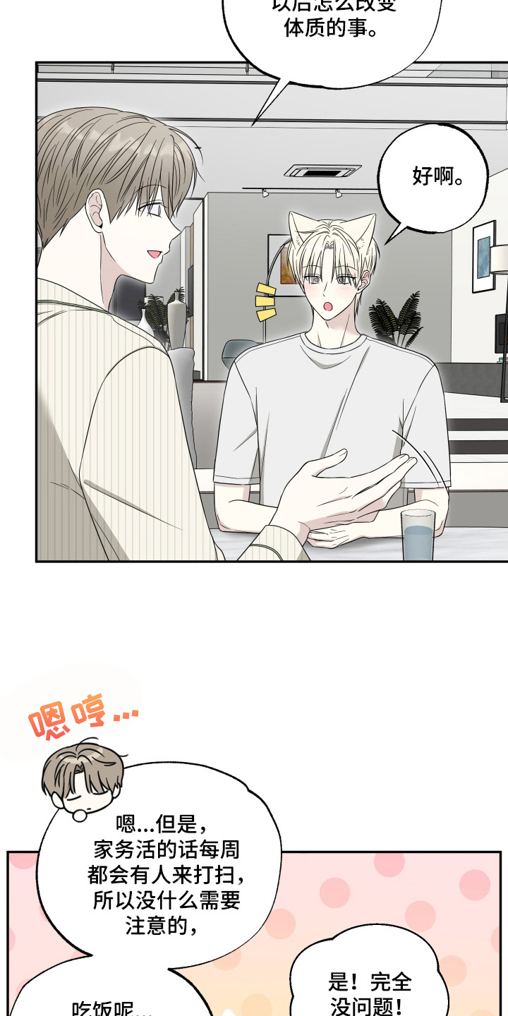 偶像有猫腻漫画原作者漫画,第13章：定规矩1图