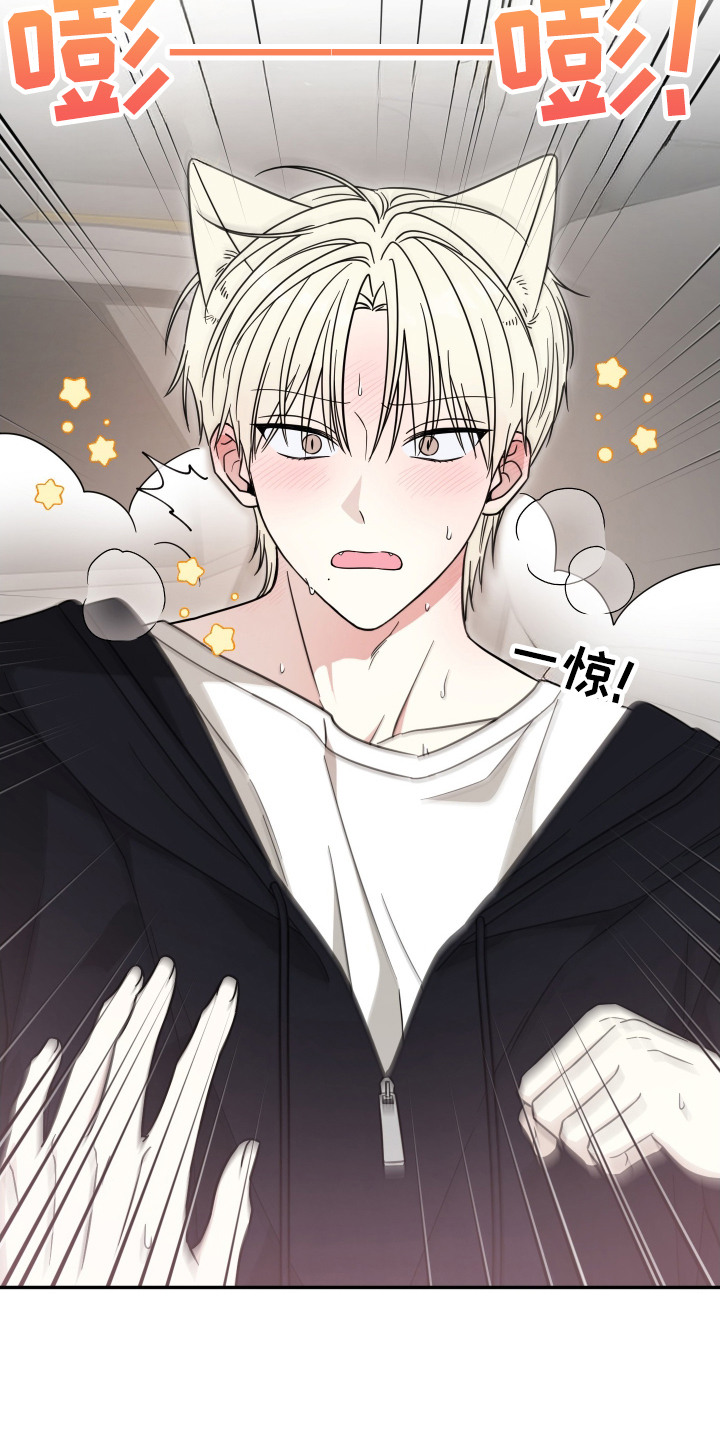 偶像有猫腻韩漫全集免费观看漫画,第6章：猫猫人4图