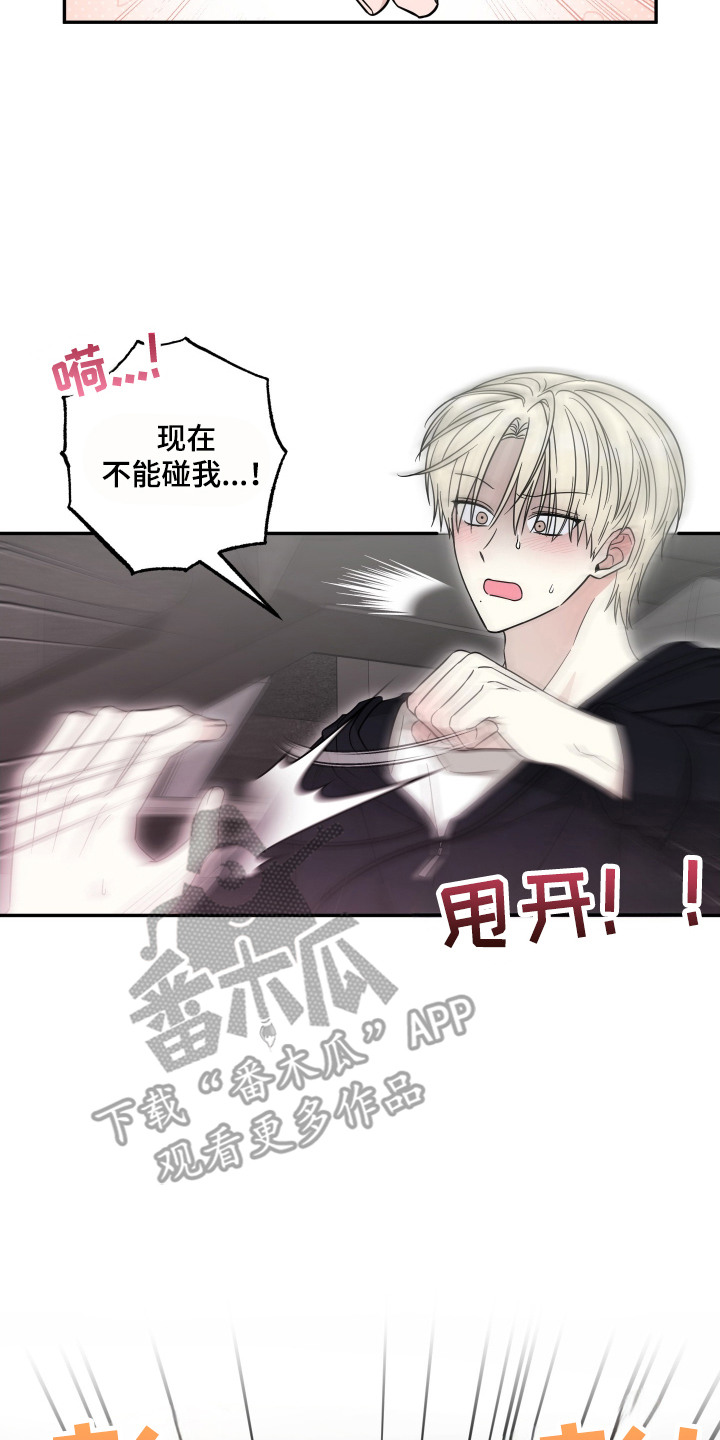 偶像有猫腻韩漫全集免费观看漫画,第6章：猫猫人3图