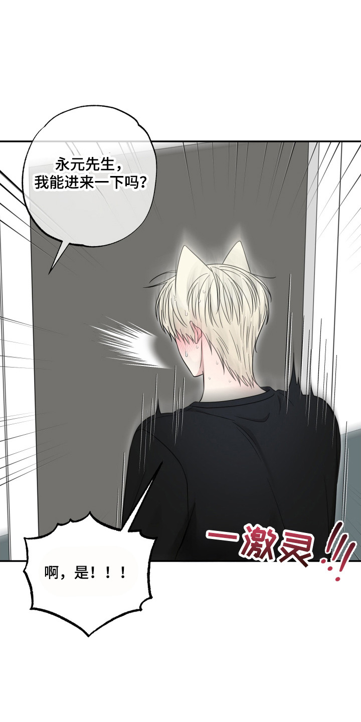 偶像有猫腻角色分析漫画,第13章：定规矩1图