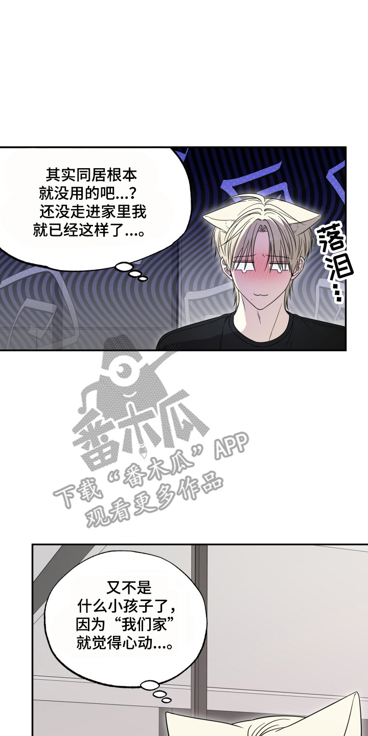偶像有猫腻角色分析漫画,第13章：定规矩4图