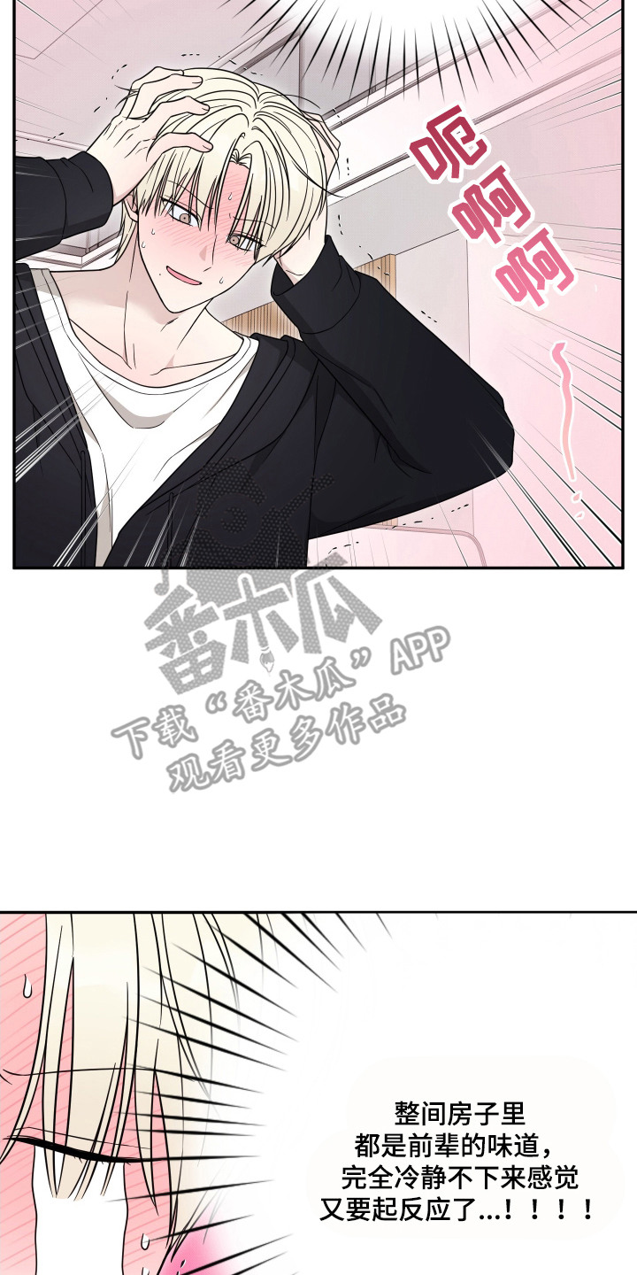 偶像有猫腻漫画,第9章：十分在意3图