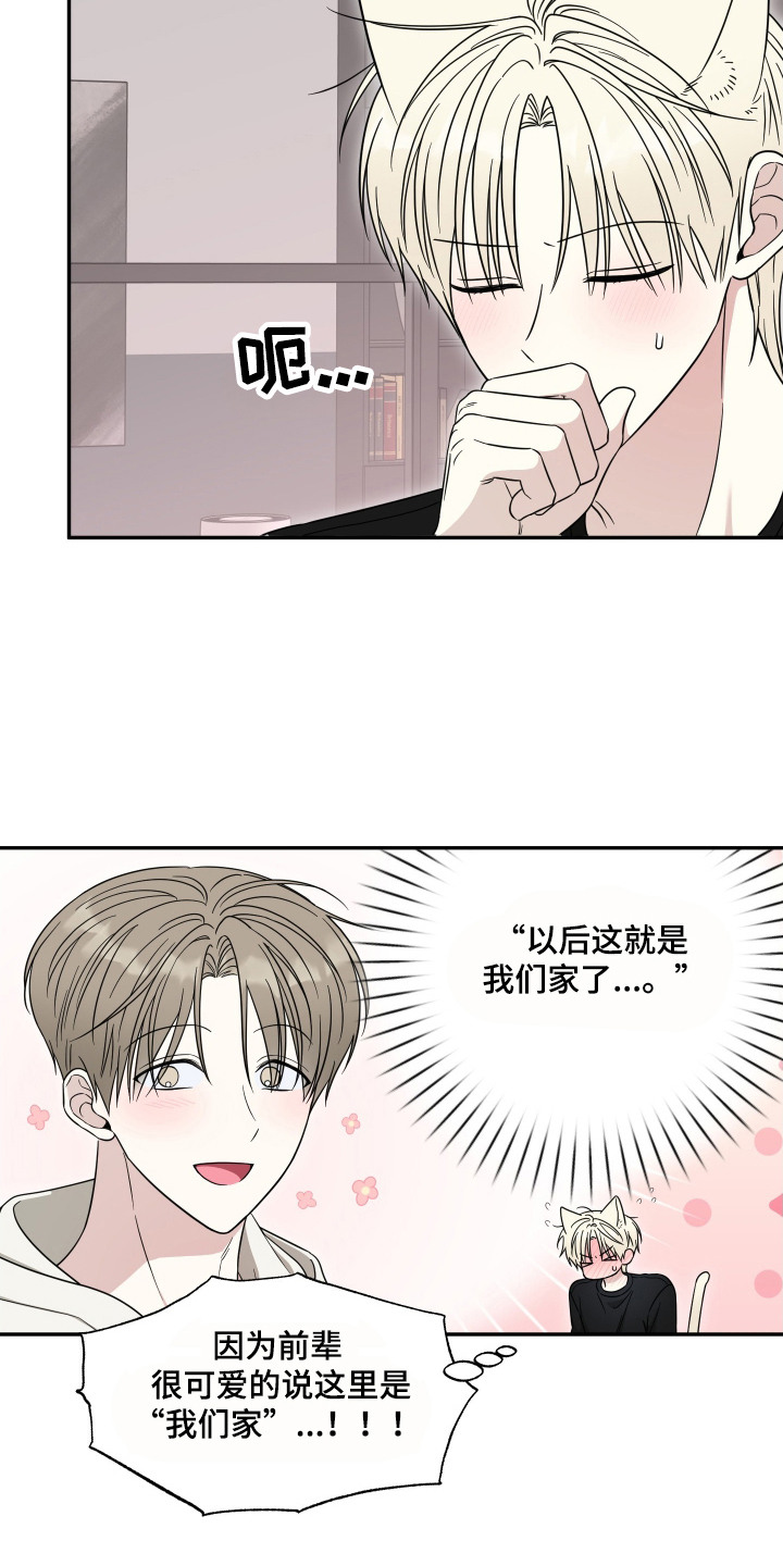 偶像有猫腻角色分析漫画,第13章：定规矩5图