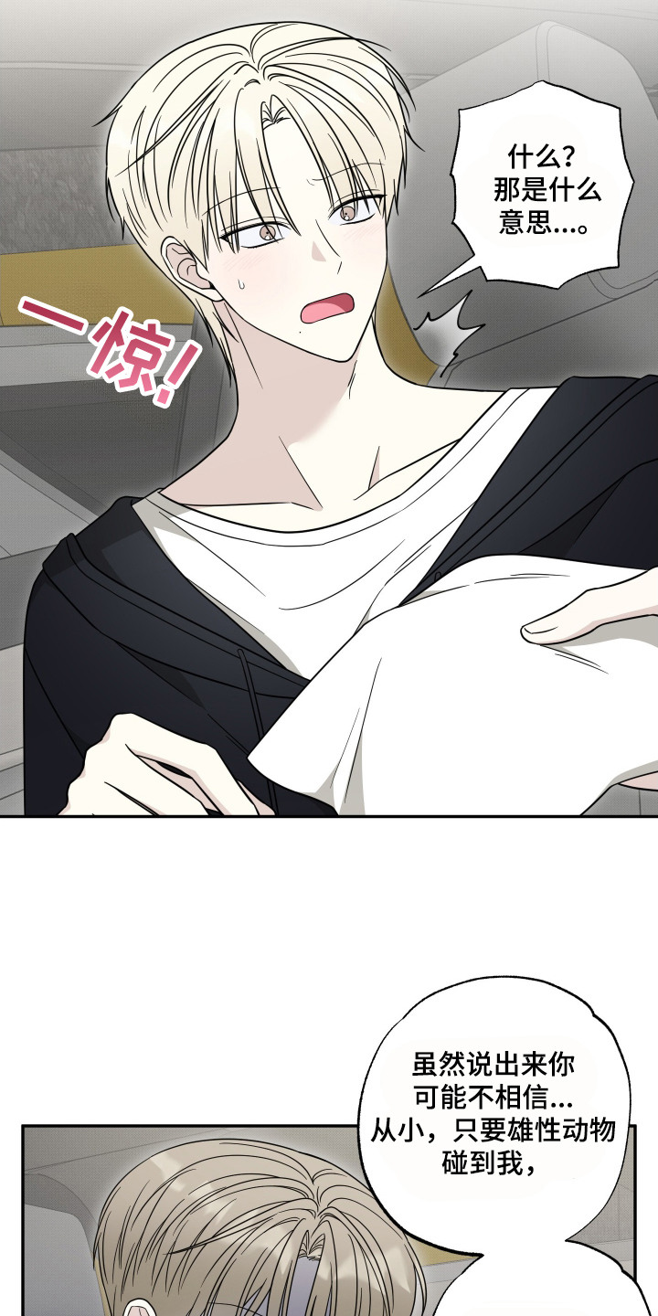 偶像练习生有黑幕吗漫画,第8章：解释2图