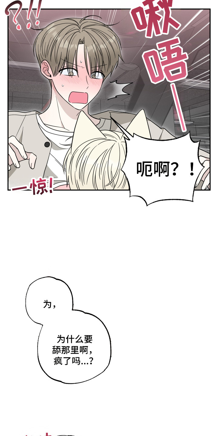 偶像有猫腻韩漫全集免费观看漫画,第7章：配合2图
