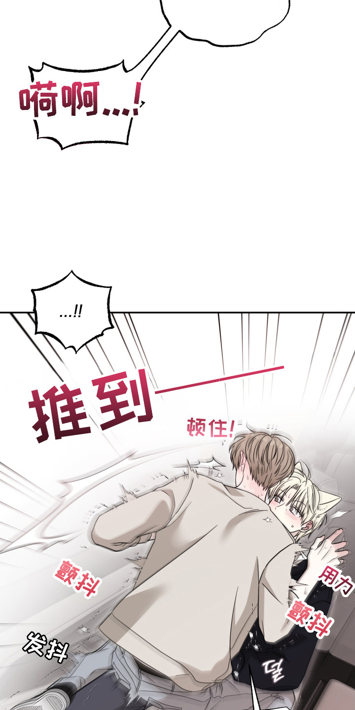 偶像有猫腻韩漫全集免费观看漫画,第7章：配合4图