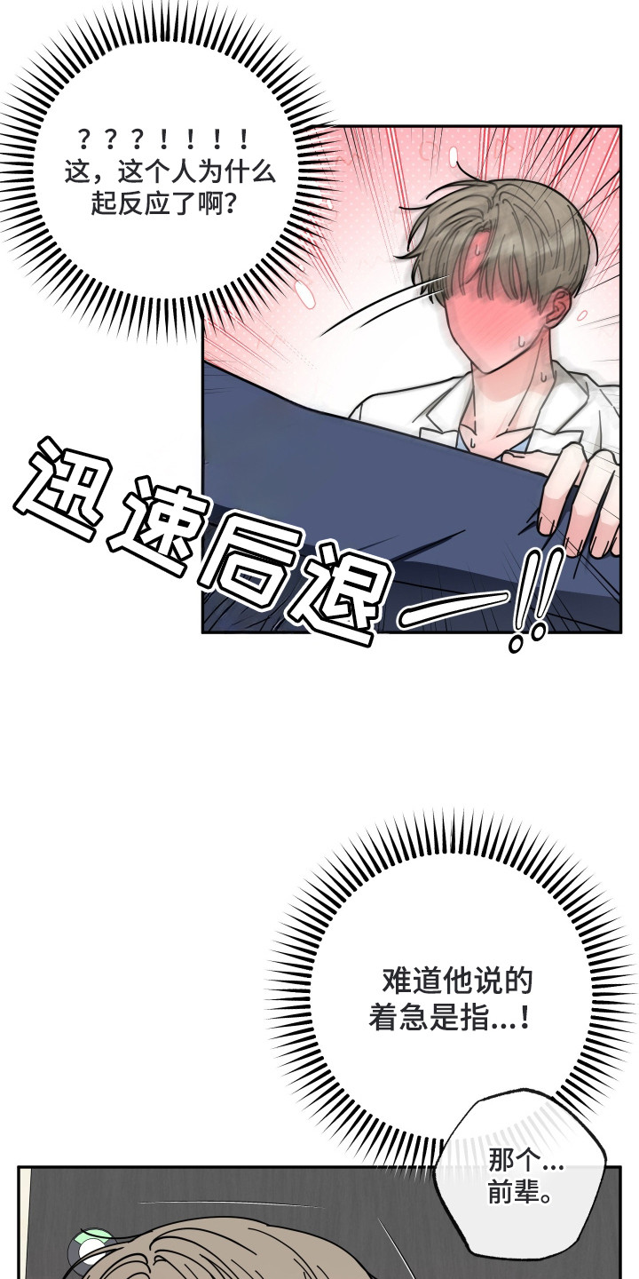 偶像有猫腻韩漫全集免费观看漫画,第3章：猫耳3图