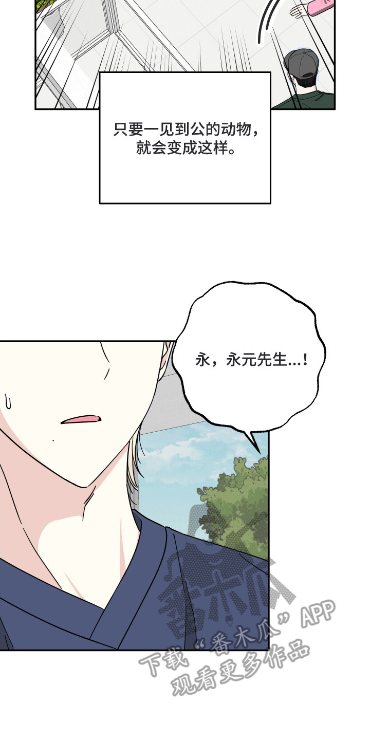 偶像有猫腻漫画,第1章：演员4图
