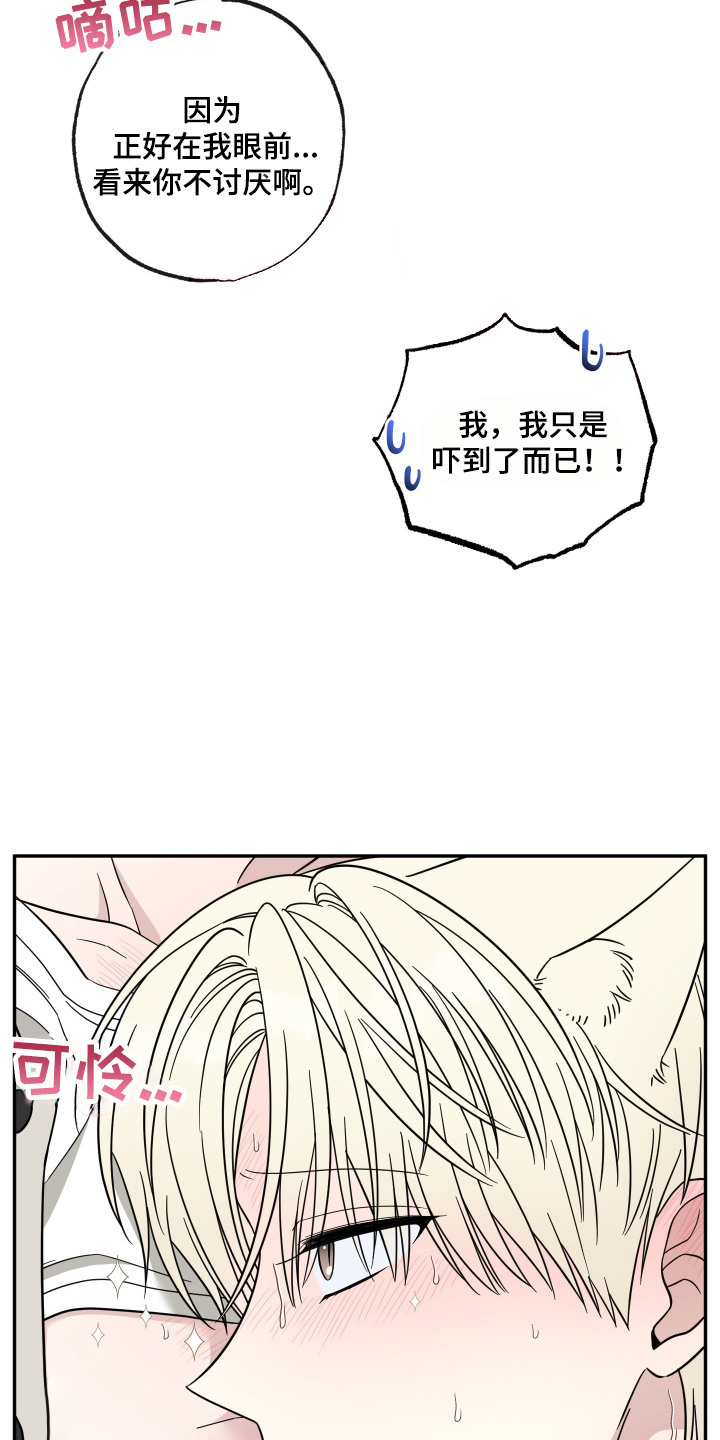 偶像有猫腻韩漫全集免费观看漫画,第7章：配合3图