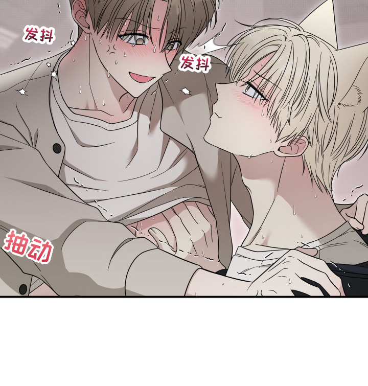 偶像有猫腻韩漫全集免费观看漫画,第7章：配合5图