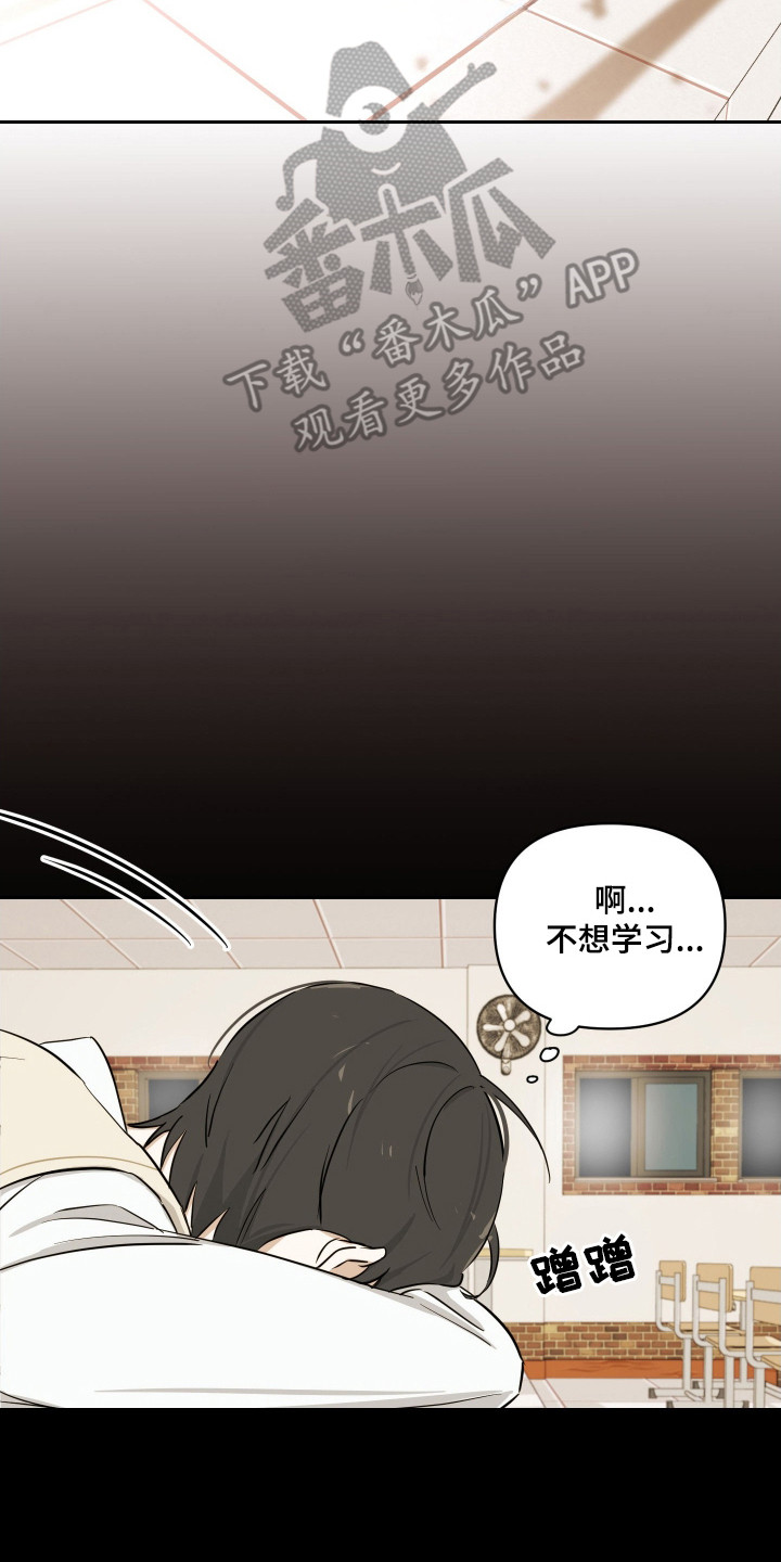 电吉他和领带总共几集漫画,第13章：通情达理2图