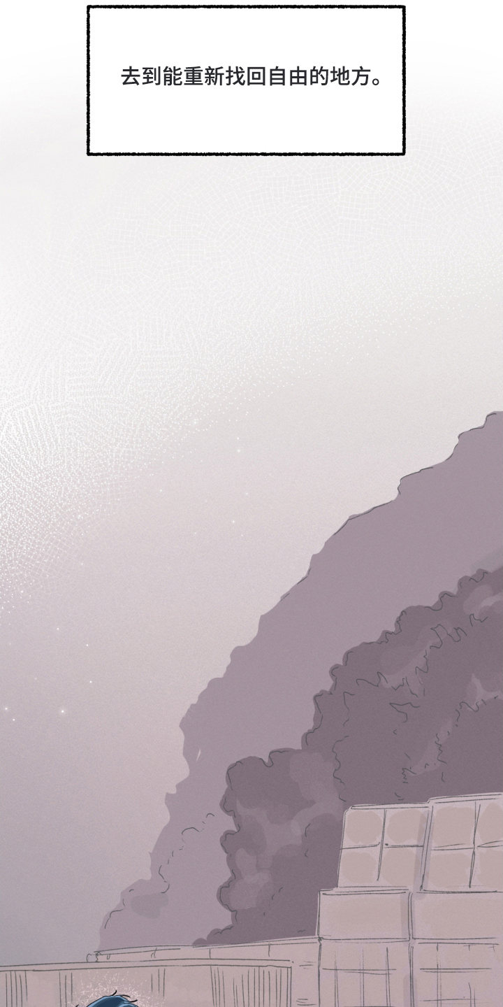 瓶中的桔梗漫画,第1章：海男5图