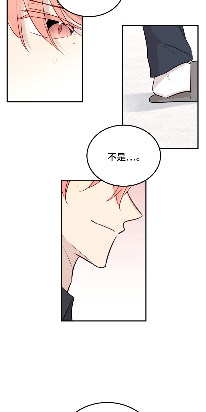 双生心跳漫画,第4章：双胞胎2图