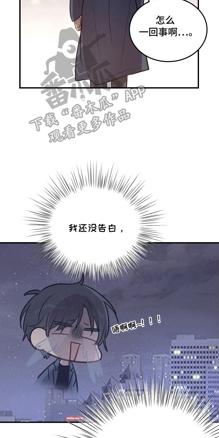 双生心跳漫画,第12章：假消息4图