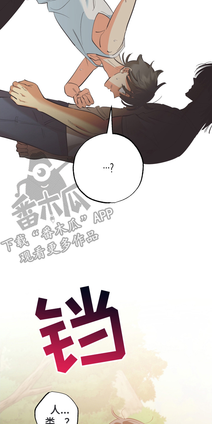 野人同居日志漫画,第13章：荒野求生3图