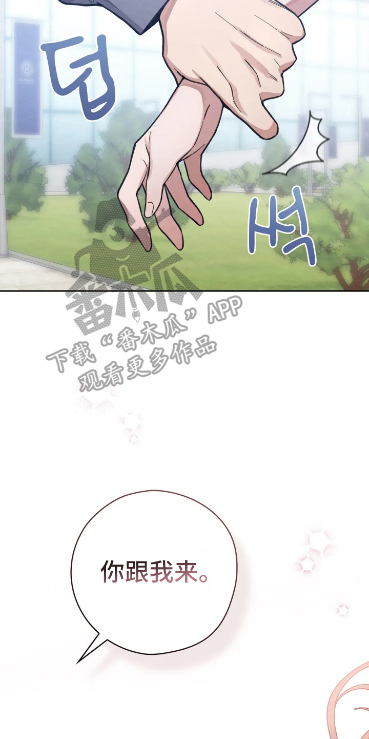 第5章：我干的吗3