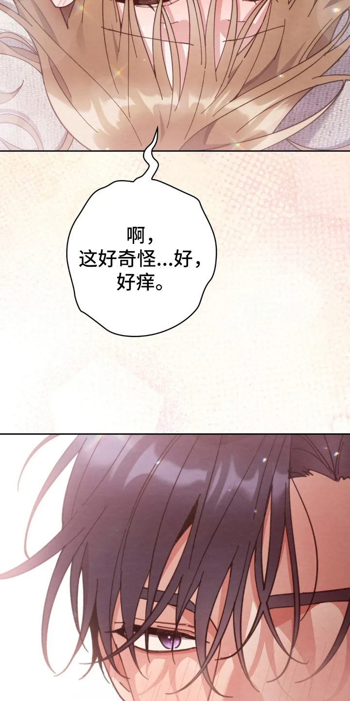 第17章：教育2