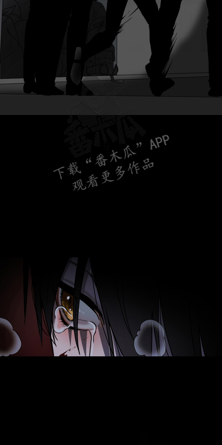 罪爱庇护所漫画,第1章：共犯4图