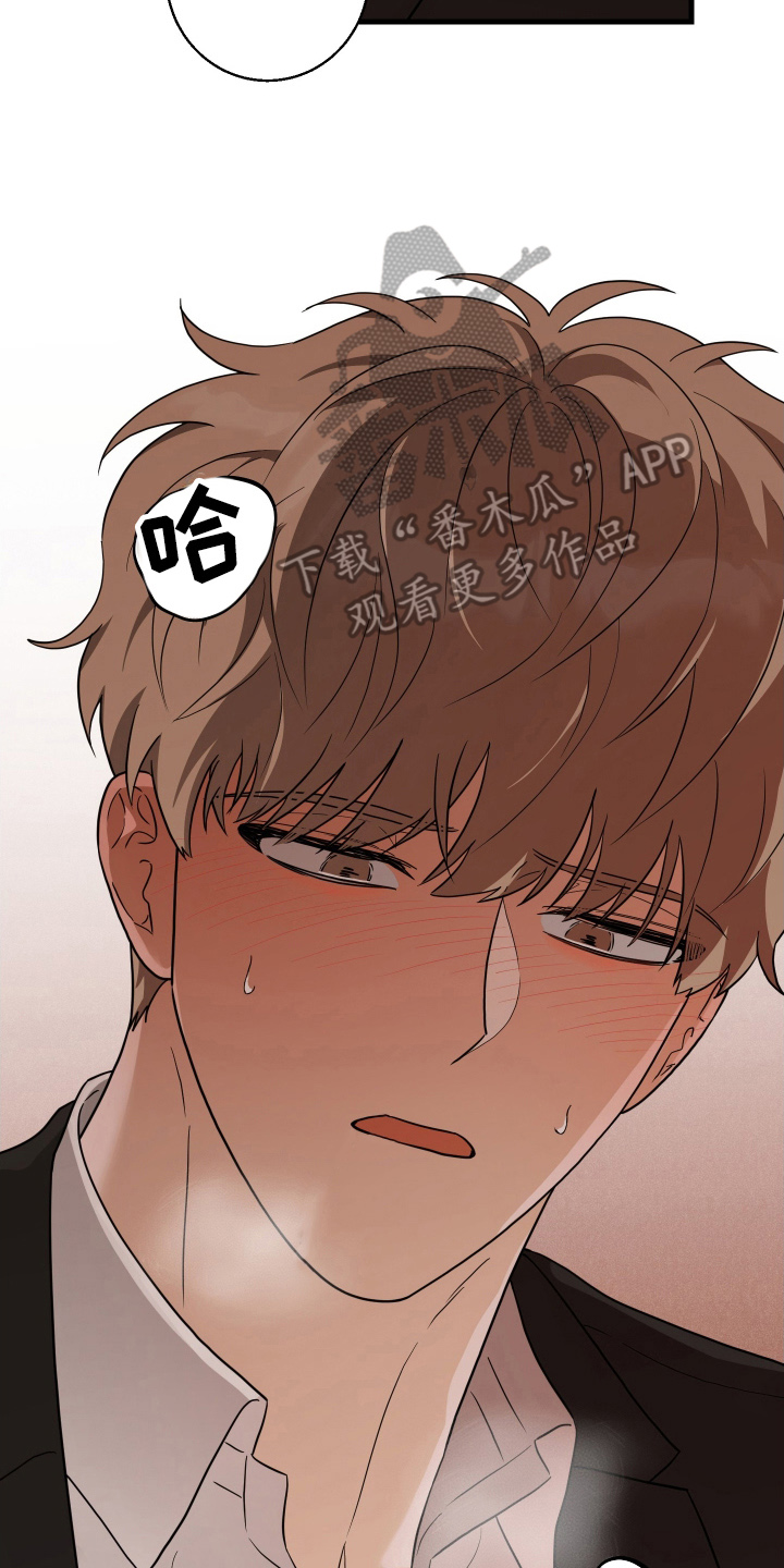 总裁的抵债情人漫画,第9章：现在在这里4图