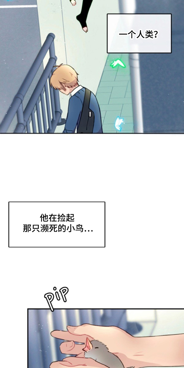 没勾完的死神名单漫画,第4章：濒死的小鸟3图